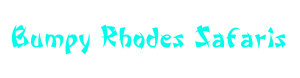 bumpy rhodes safari logo