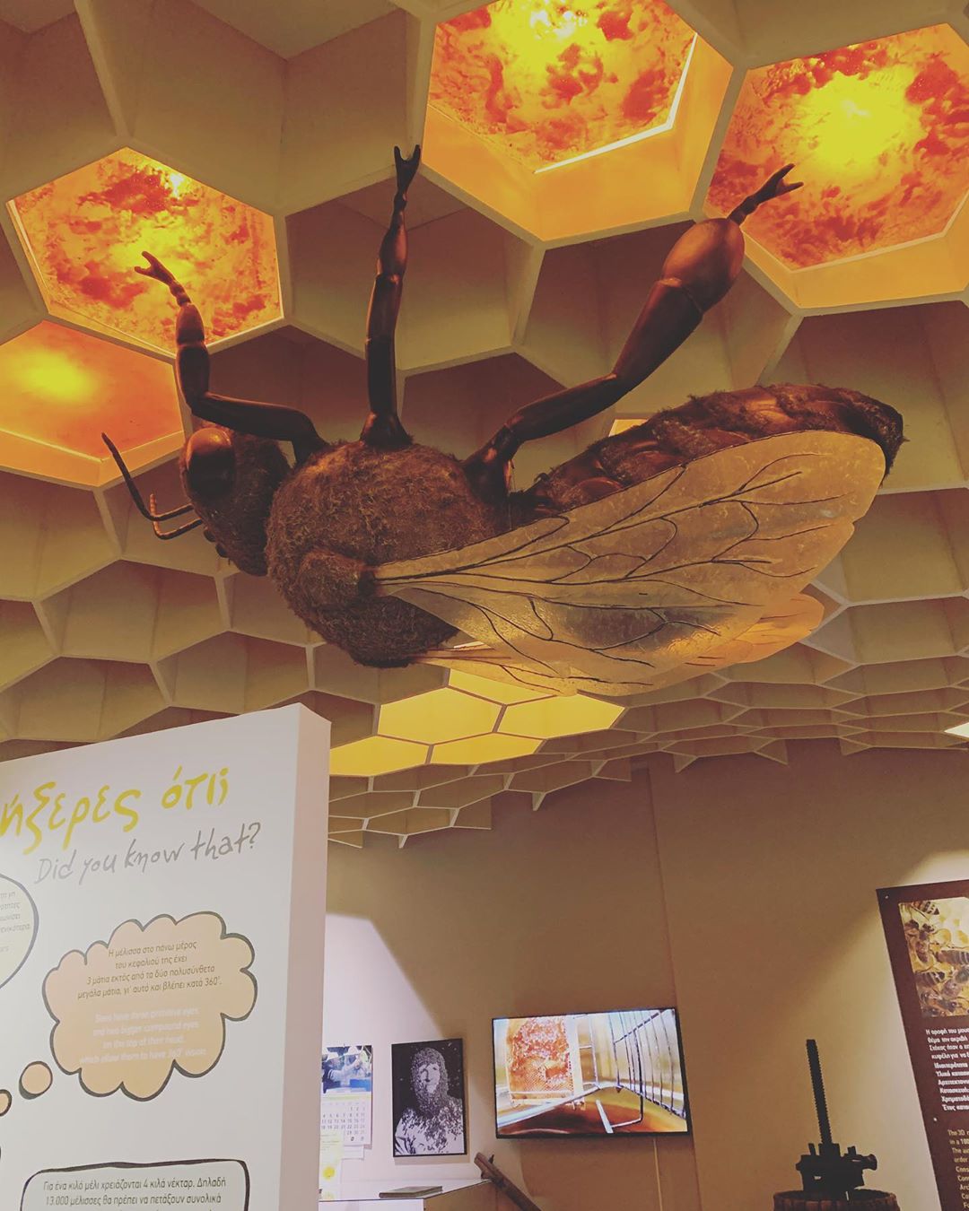 bee museum in rhodes island