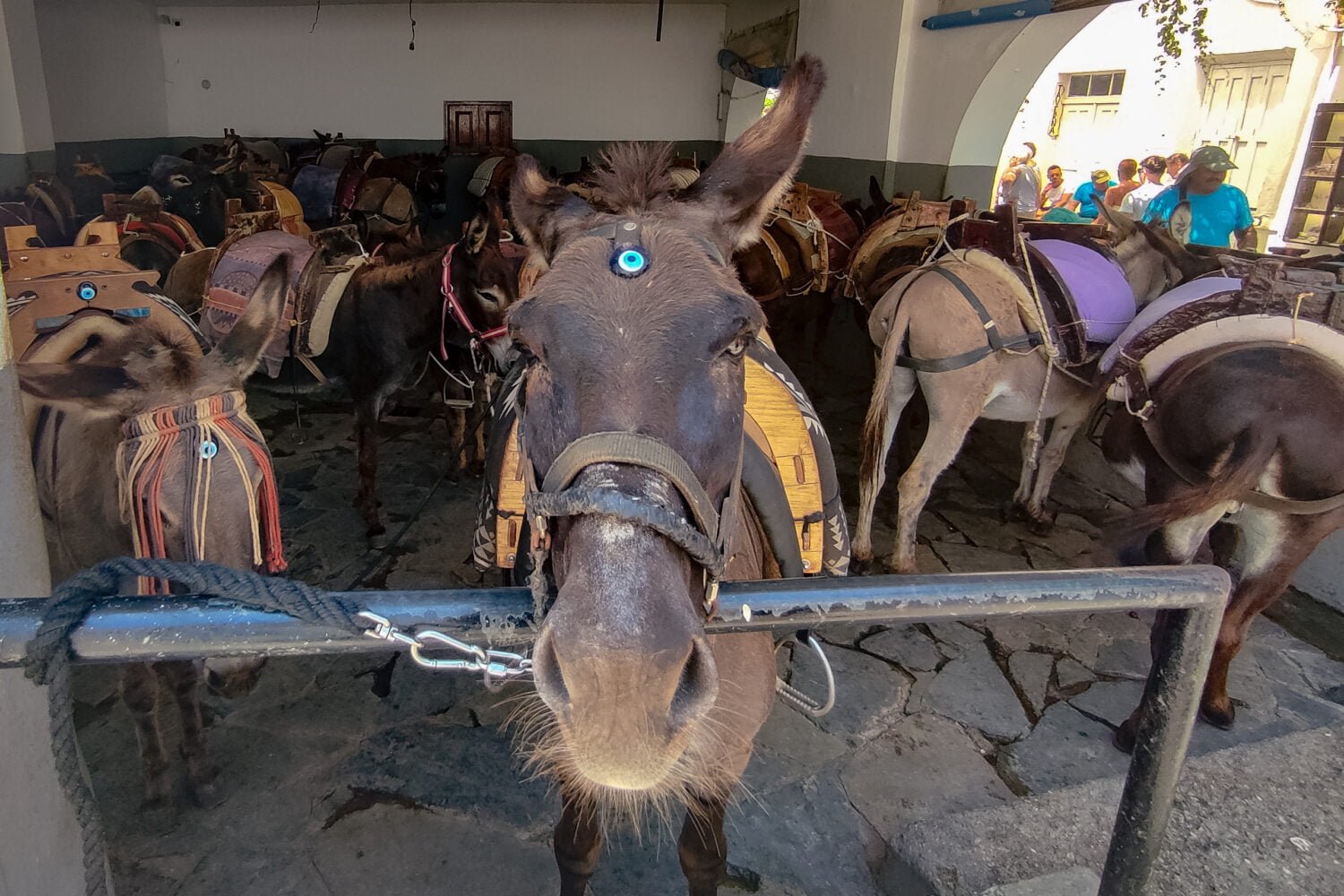 donkey station lindos village