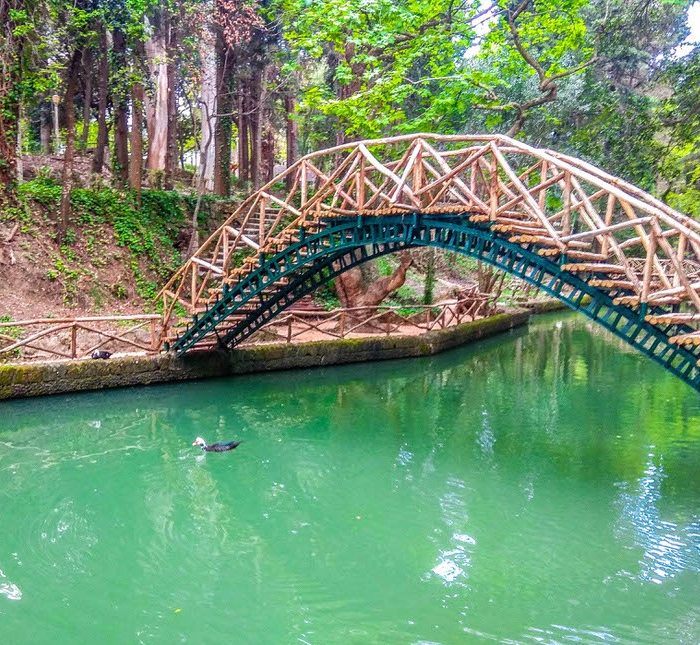 wooden bridge at rodini park