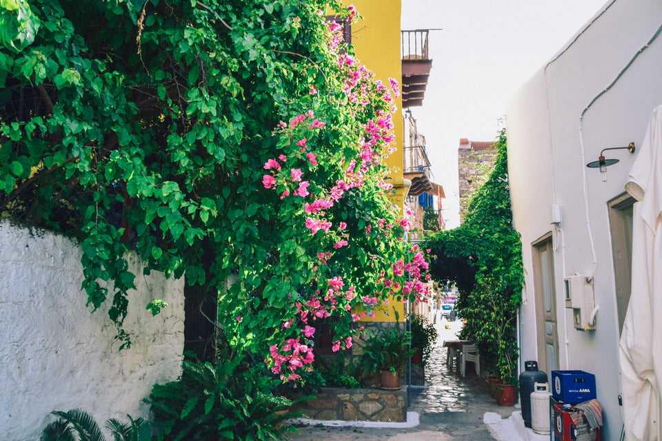 colorful alleys of kastelorizo island