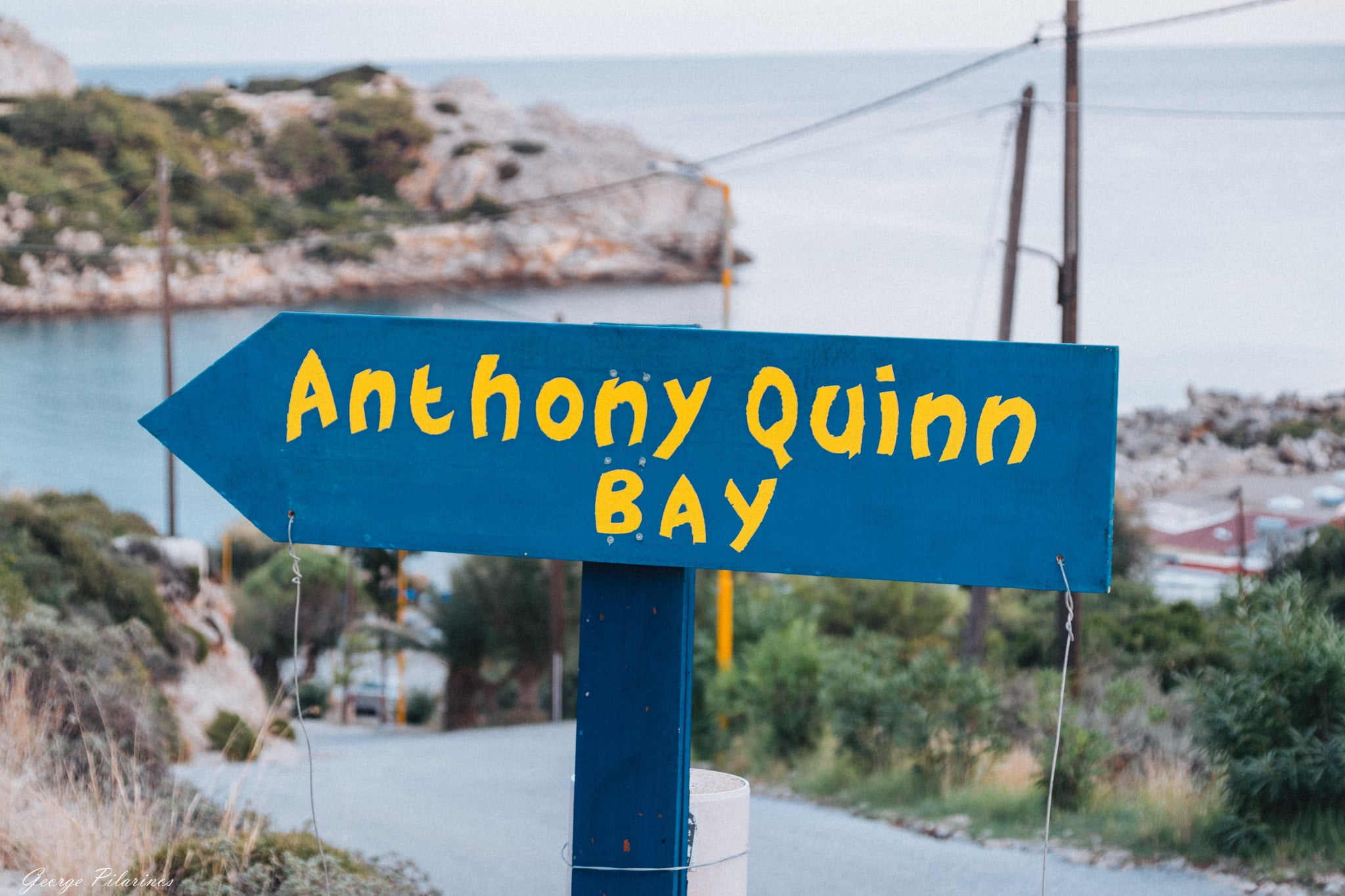 anthony quinn bay sign