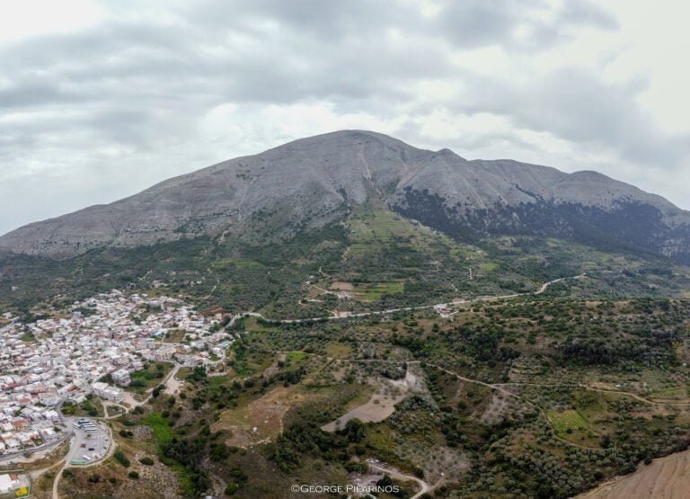 vinyards vinyards area at embona