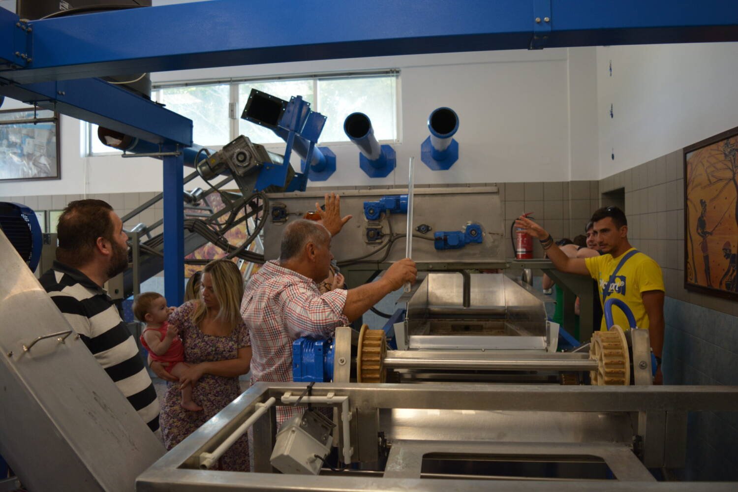 olive oil tasting experience in Rhodes